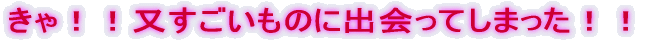 IÎɏoĂ܂II