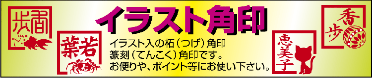 �C���X�g�����E⽍��p��