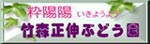 �|�X���L�Ԃǂ���