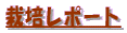 �엿��_��g�p��